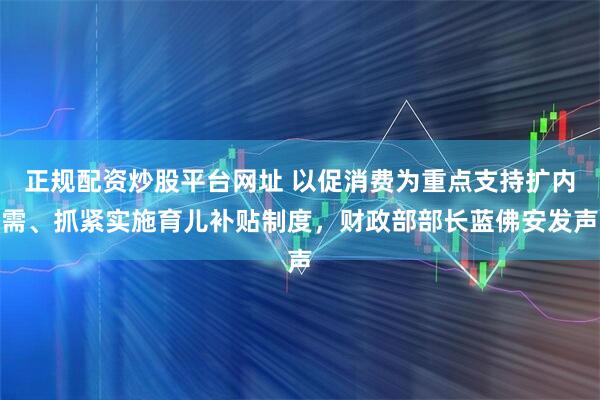 正规配资炒股平台网址 以促消费为重点支持扩内需、抓紧实施育儿补贴制度，财政部部长蓝佛安发声
